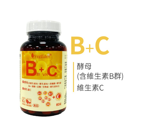 酵母B群+維生素C錠