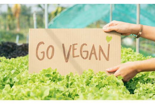 英國全素協會認證介紹