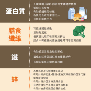 高鐵3蛋白 450g / 罐 高鐵3蛋白 450g / 罐