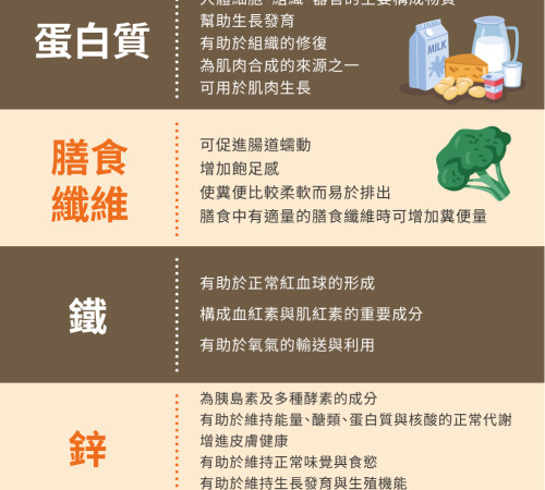 高鐵3蛋白