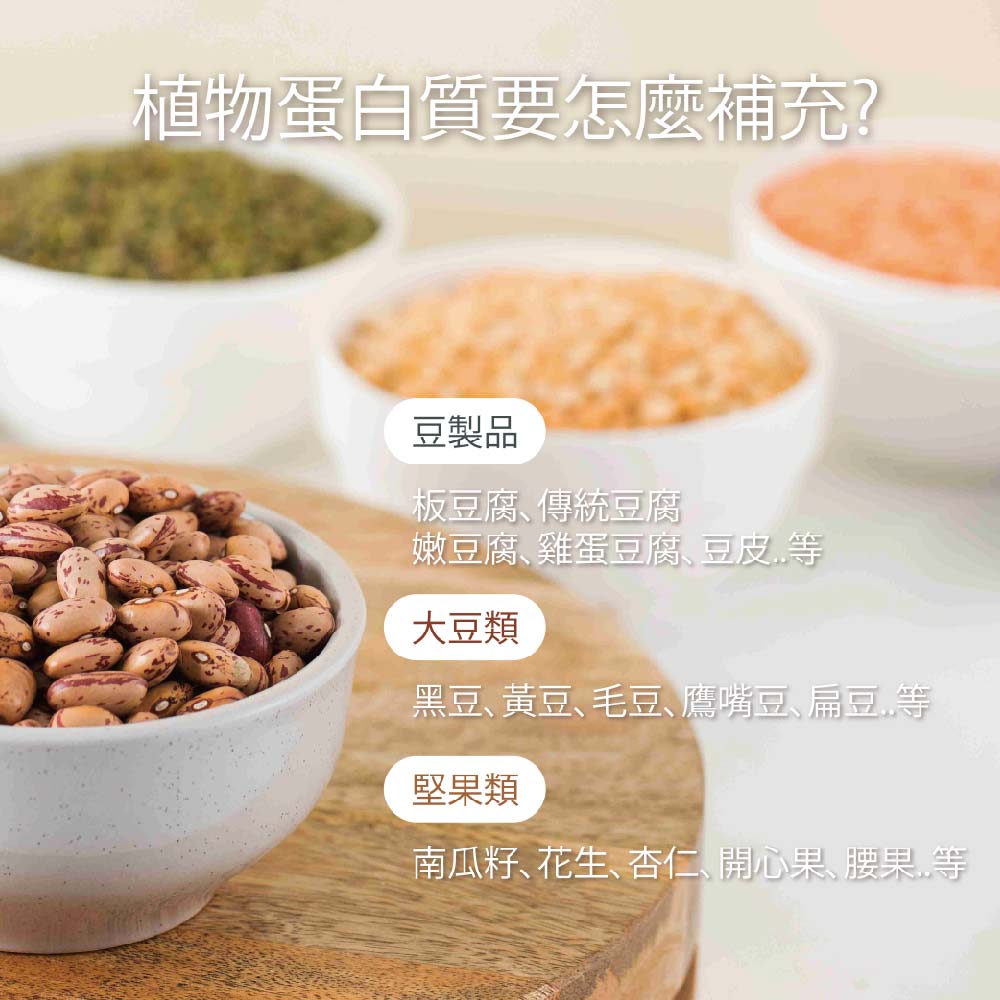 豌豆蛋白（醇麥滋）-袋裝