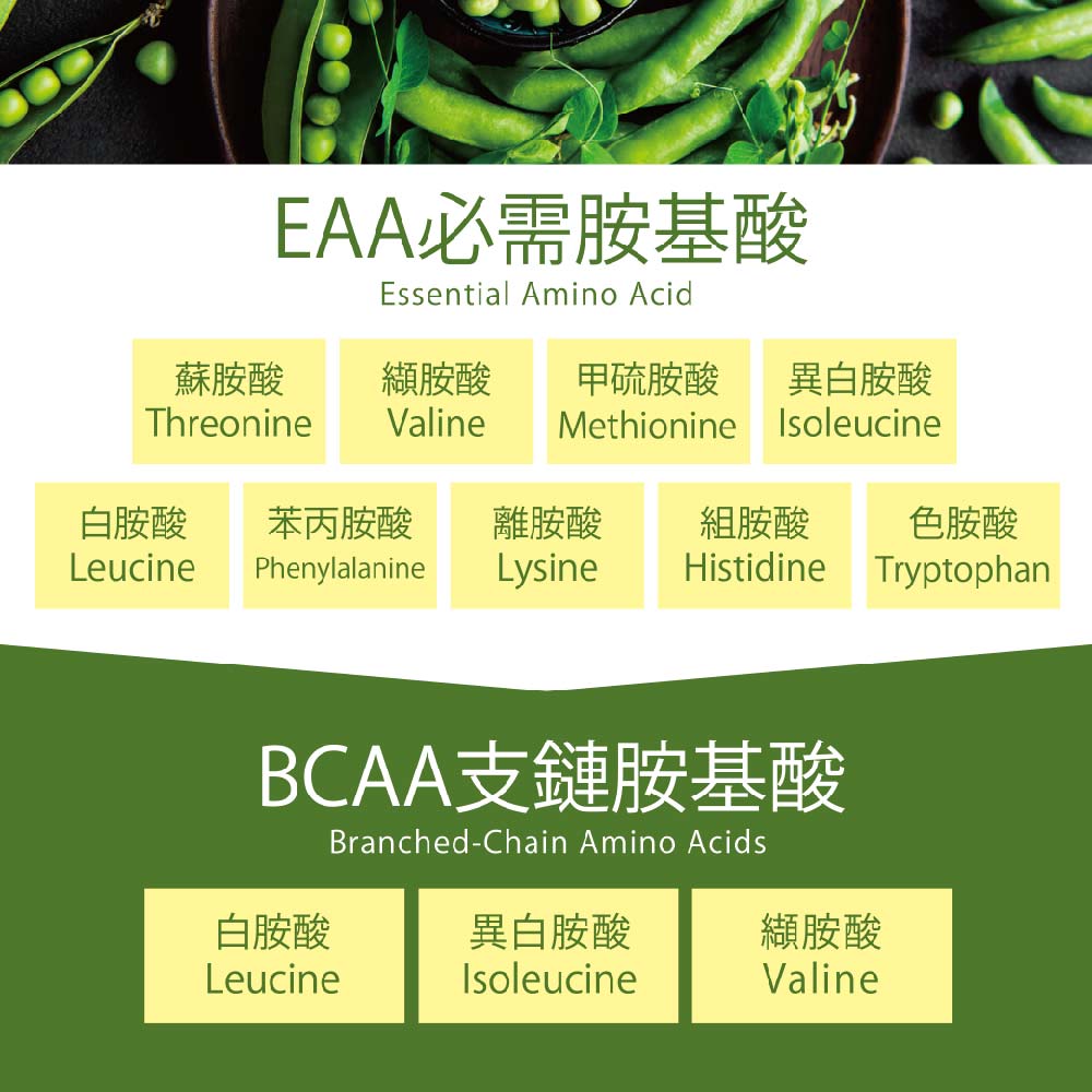 豌豆蛋白（醇麥滋）-袋裝