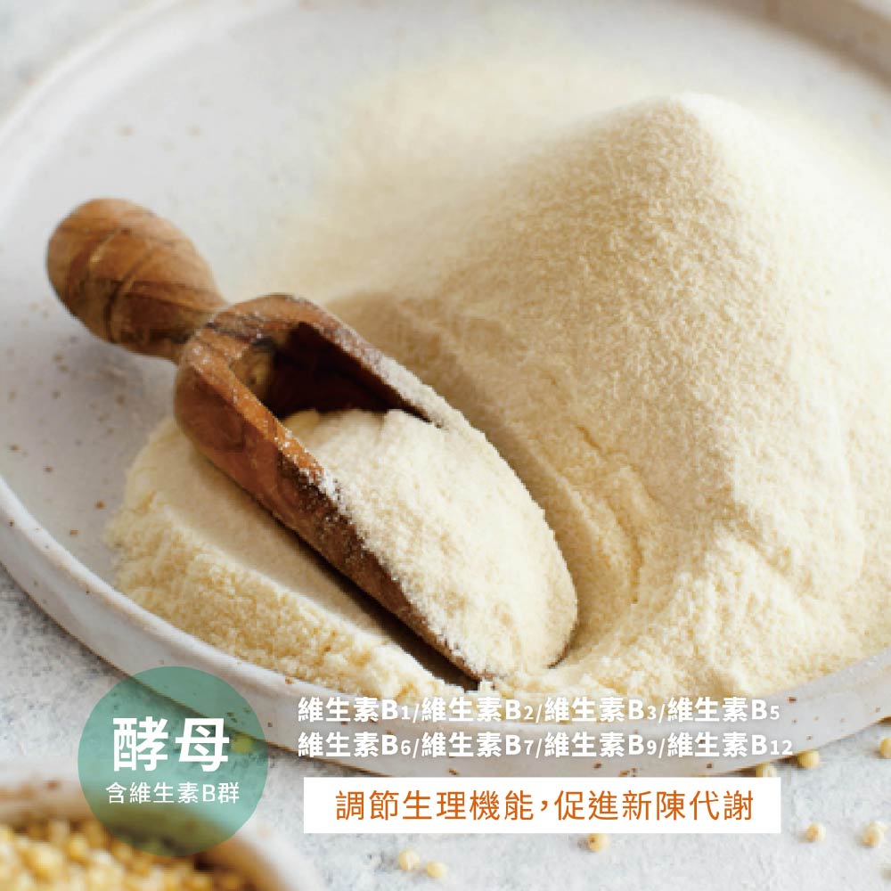 酵母B群+維生素C錠