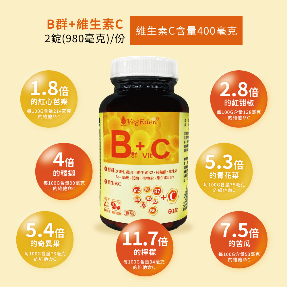 酵母B群+維生素C錠
